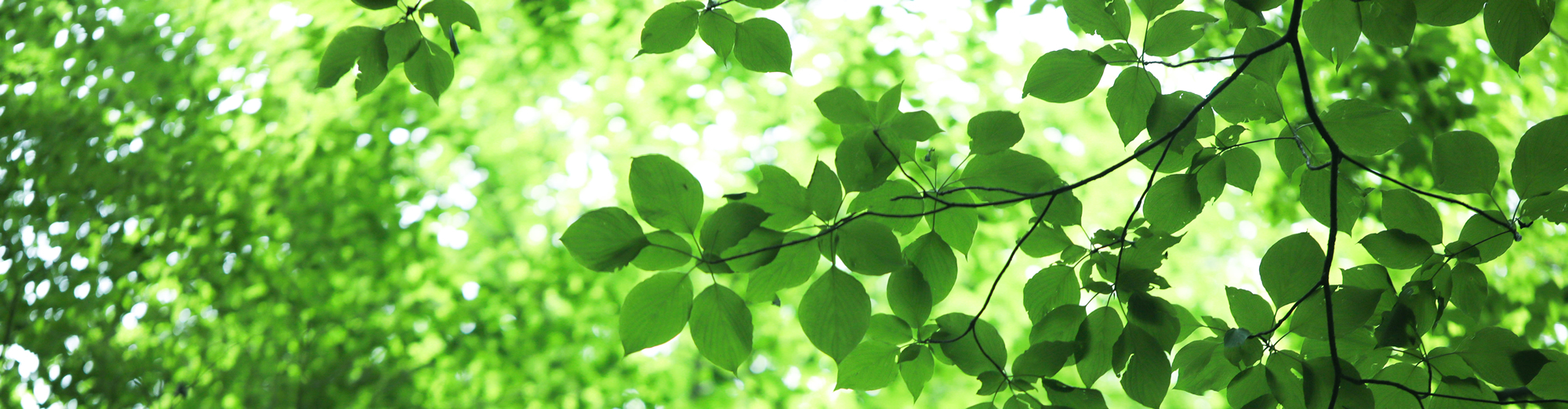 笛木助産院｜埼玉県さいたま市見沼区の桶谷式母乳育児相談室